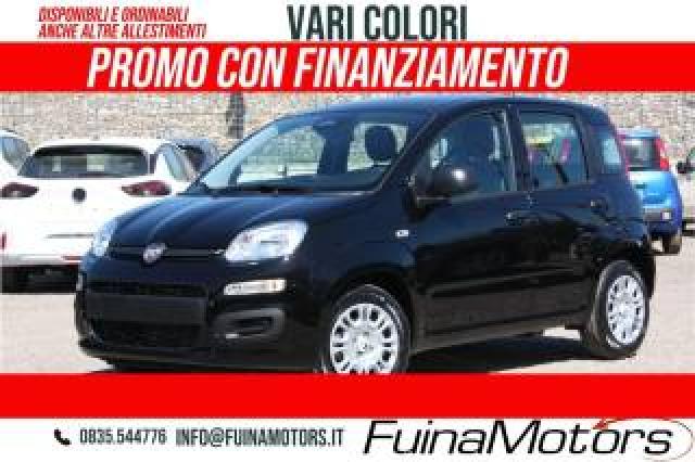 Fiat Panda 1.0 Firefly S&s Hybrid Nuovo 