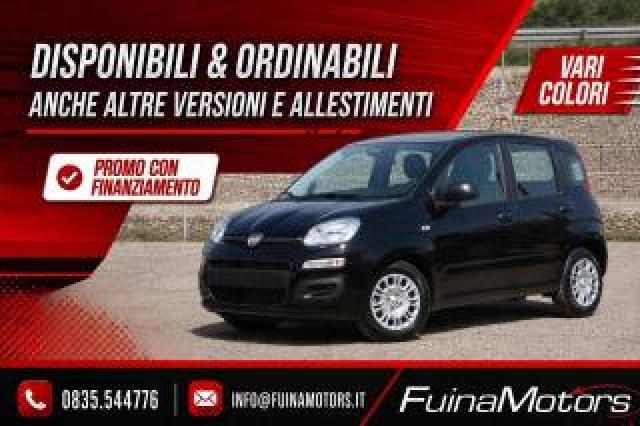 Fiat Panda 1.0 Firefly S&s Hybrid Nuovo 