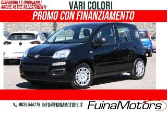 Fiat Panda 1.0 Firefly S&s Hybrid Nuovo 
