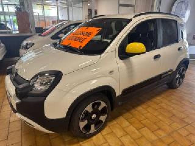 Fiat Panda Cross 1.0 S&s Hybrid  