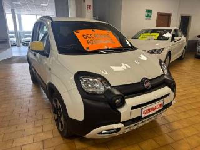 Fiat Panda Cross 1.0 S&s Hybrid  