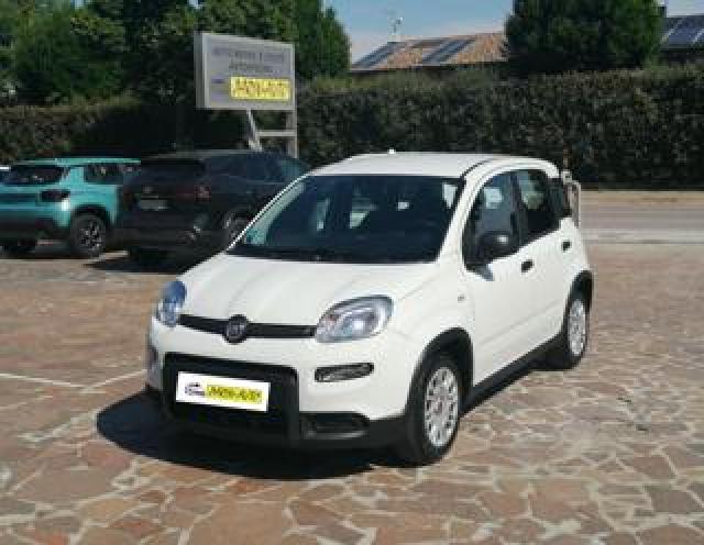 Fiat Pandina 1.0 Firefly 65 Cv Hybrid Icon 