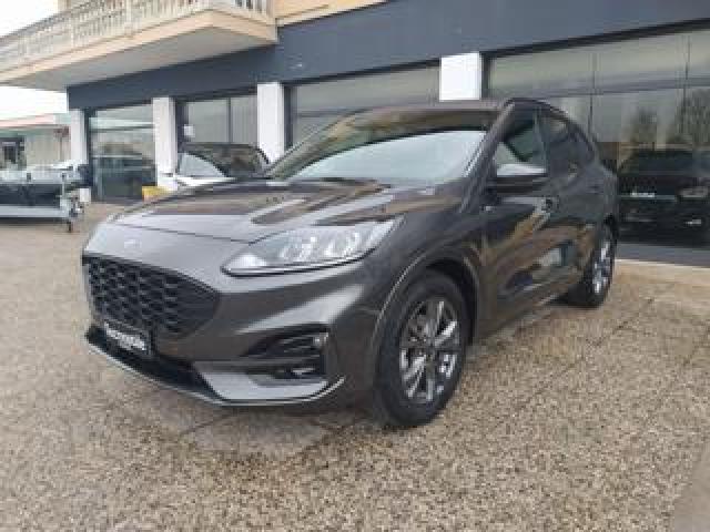 Ford Kuga 2.5 Full Hybrid 190 Cv Cvt 2wd St-Line 