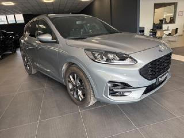 Ford Kuga 1.5 Ecoblue 120 Cv Aut. 2wd St-Line 