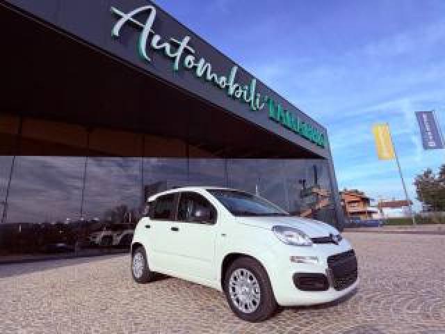 Fiat New Panda Icon - Km 0 10/2025- 5° Posto - Radio - Sensori 