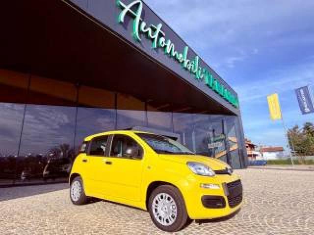 Fiat New Panda Icon - Km 0 10/2025- 5° Posto - Radio - Sensori 