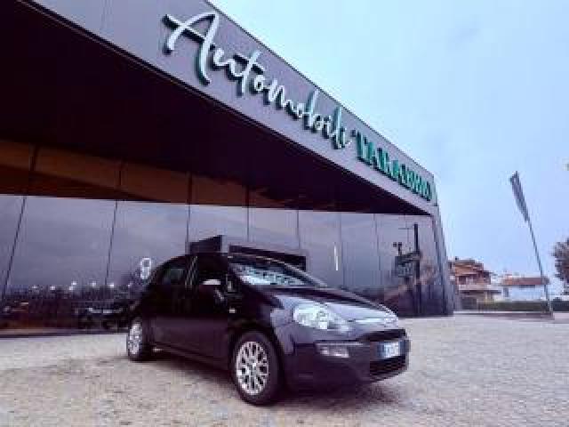 Fiat Punto Evo Km 85.000 - Cinghia Fatta - Ok Neopatentati 