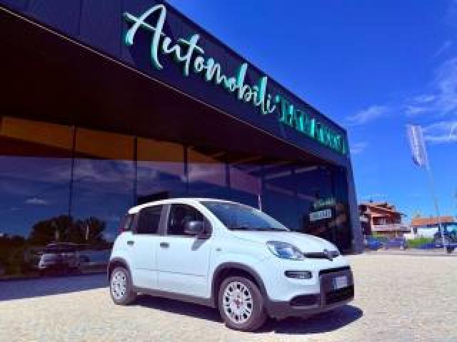 Fiat New Panda Km 9.000 - Bluetooth - 5 Posti - Promo Finanziamen 