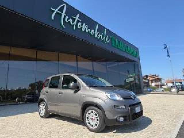 Fiat New Panda Km 19.000 - Unipro - No Obbligo Finanziamento 