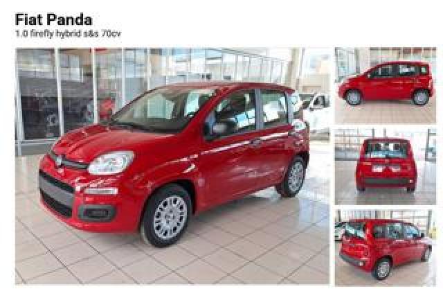 Fiat Panda 1.0 Firefly 70 Cv Hybrid_venduta 