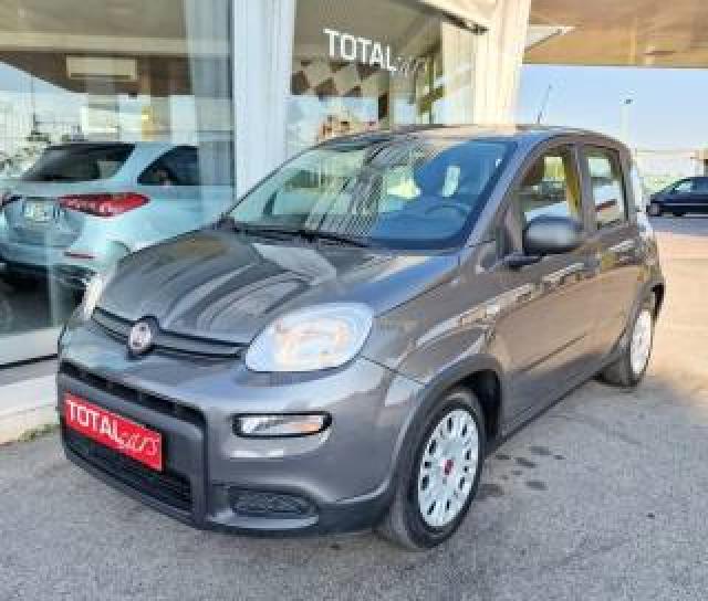 Fiat Panda 1.0 Firefly S&s Hybrid Ok Neo Patentati 