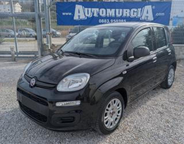 Fiat Panda 1.0 Firefly S&s Hybrid Easy 