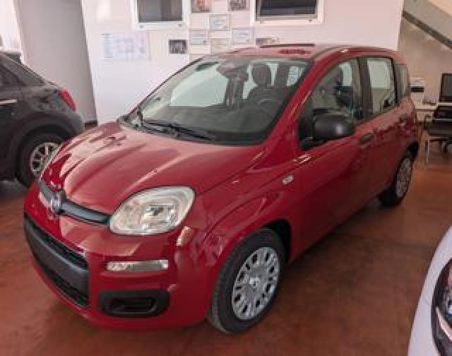Fiat Panda 1.0 Firefly S&s Hybrid Pop 