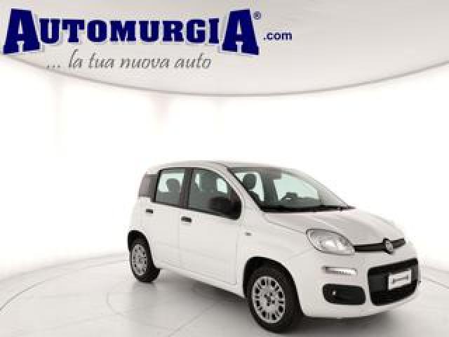 Fiat Panda 1.2 Easy Con 5° Posto 
