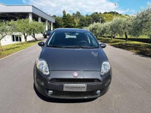 Fiat Punto 1.4 8v 5 Porte Easypower Street 