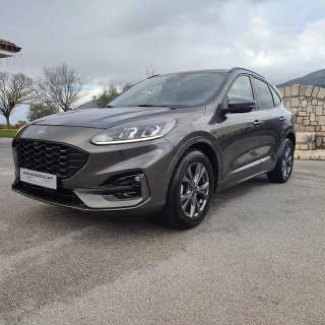Ford Kuga 1.5 Ecoblue 120 Cv Aut. 2wd St-Line 