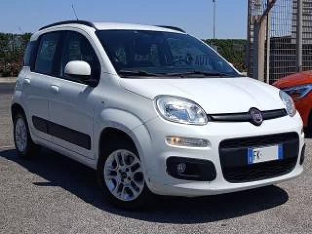 Fiat Panda 1.2 Lounge 4 Cilindri! 
