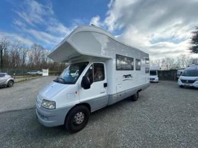 Laika Other Laika Ecovip 8.1 Standard 