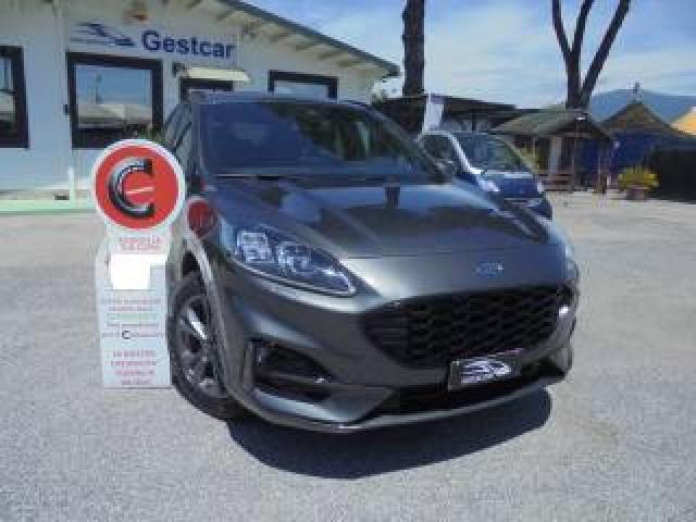 Ford Kuga Promo -1000 1.5 Ecoboost 150 Cv 2wd St-Line X 