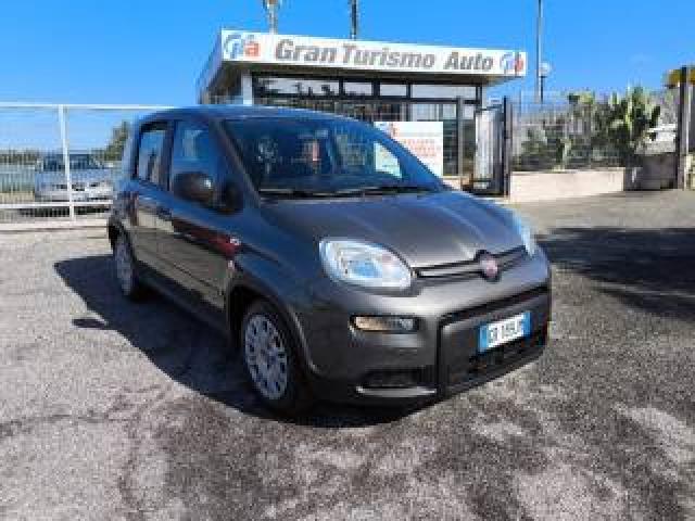 Fiat Panda 1.0 Firefly Hybrid City Life Prezzo Reale! 16000km 