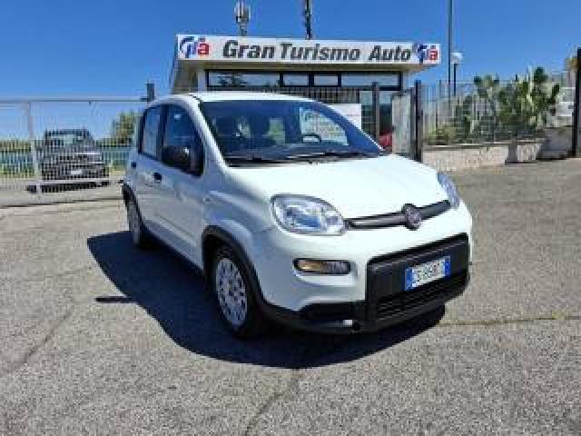 Fiat Panda 1.0 Hybrid City Life 5 Posti Prezzo Reale!! 