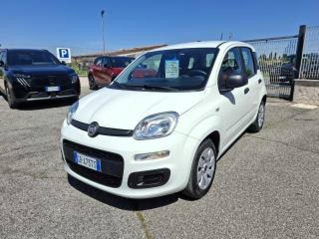 Fiat Panda 1.2 Easy Prezzo Reale! Fatturabile! Aziendale 
