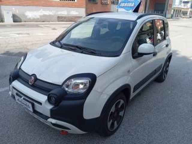 Fiat Panda Cross 1.0 Firefly S&s Hybrid 