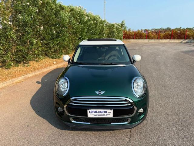 Mini Altro 