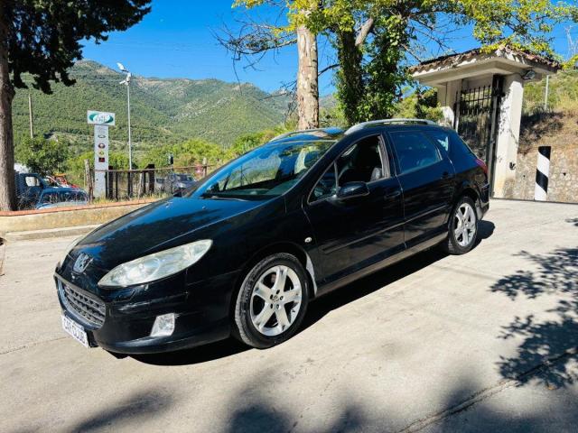 Peugeot 407 Sw 