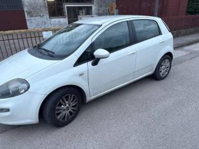 Fiat Punto 1.3 Mjt Ii 75 Cv 5 Porte Lounge 