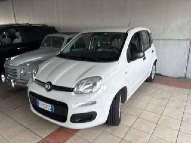 Fiat Panda Benzina 