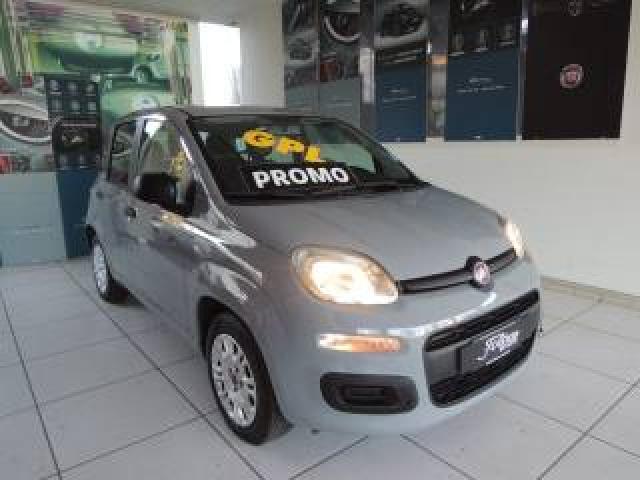 Fiat Panda 1.2 Gpl Easypower Easy 