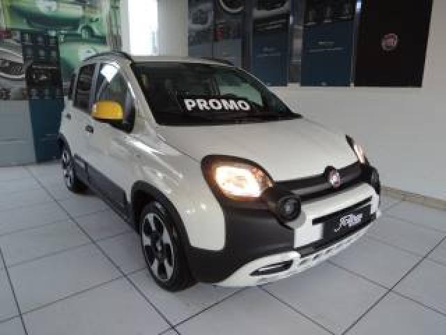 Fiat Panda Cross 1.0 Firefly Hybrid  