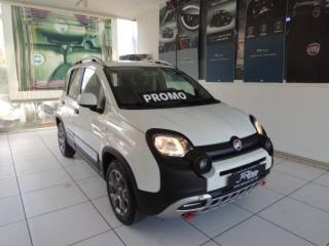 Fiat Panda Cross 1.0 Firefly S&s Hybrid  