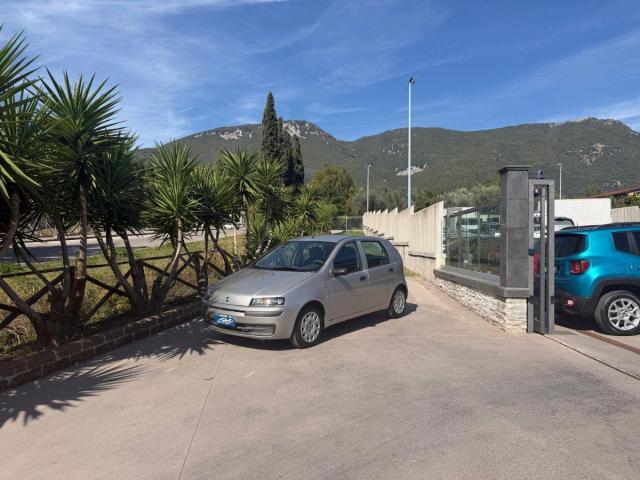 Fiat Punto 