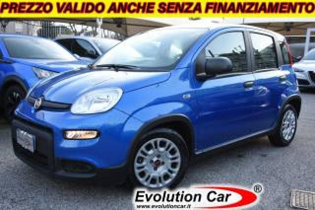 Fiat Panda 1.0 Firefly S&s Hybrid *sensori*5 Posti* 