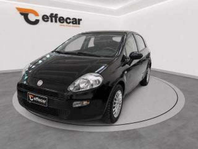 Fiat Punto 1.2 8v 5 Porte Lounge 