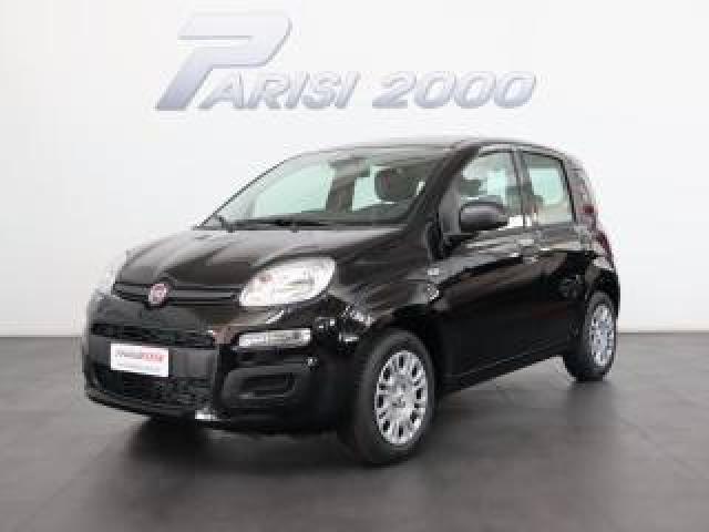 Fiat Panda 1.0 Firefly S&s Hybrid *promo Parisi Group* 