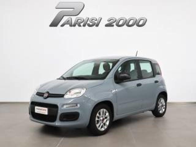 Fiat Panda 1.0 Firefly S&s Hybrid *promo Parisi Group* 