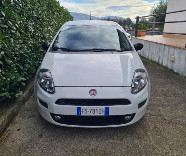 Fiat Punto 