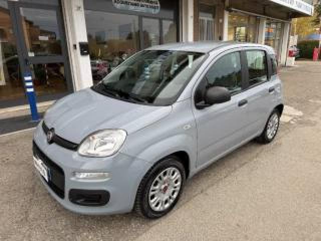 Fiat Panda 1.0 Firefly S&s Hybrid City Life Apple/android Aut 