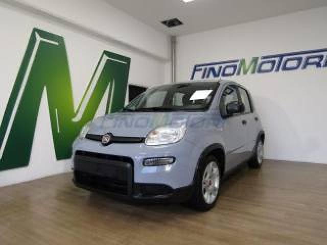 Fiat Panda 1.0 Firefly S&s City Hybrid 5 Posti 