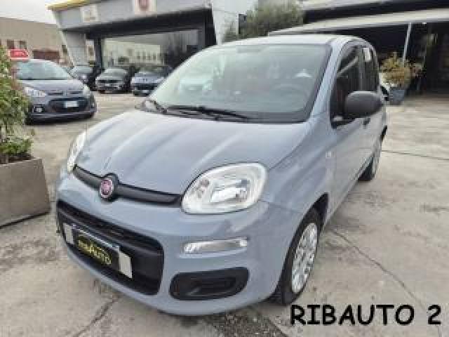 Fiat Panda 1.2 Lounge Ok Neopatentato 