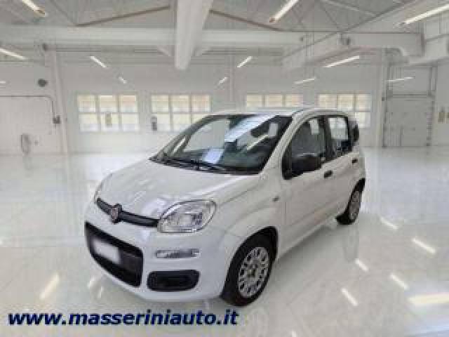 Fiat Panda Panda Iii  1.2 Easy S 