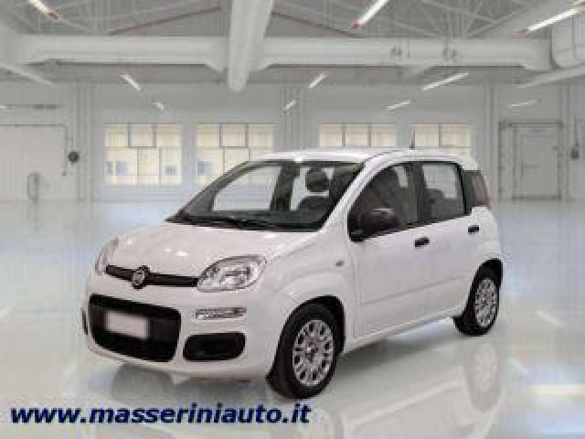 Fiat Panda Panda Iii 2021 1.0 Firefly Hybrid S 