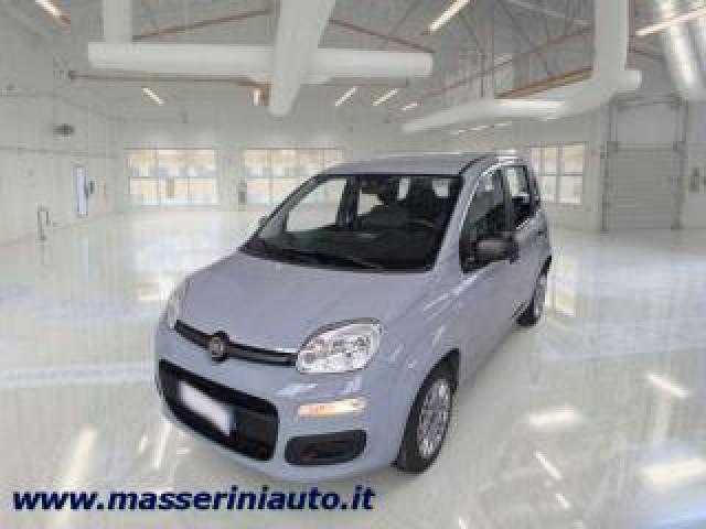 Fiat Panda Panda Iii  1.0 Firefly Hybrid S 