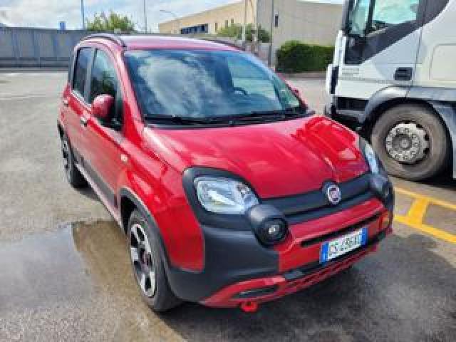 Fiat Panda Cross 1.0 Firefly S&s Hybrid 