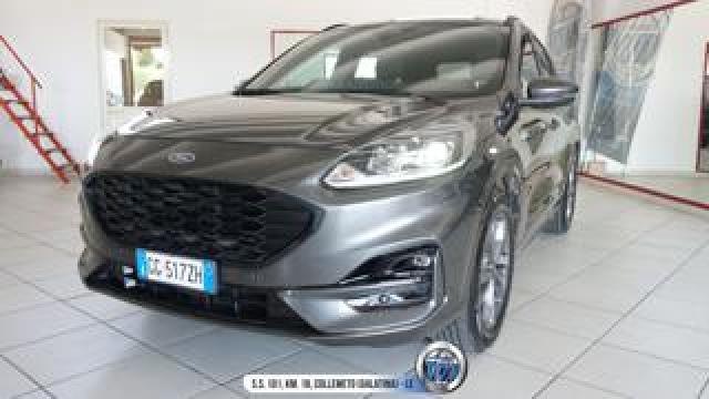 Ford Kuga 1.5 Ecoblue 120 Cv Aut. 2wd St-Line 