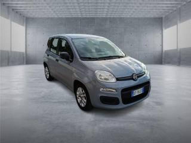 Fiat Panda 3ª Serie  1.0 Firefly S&s Hybrid 
