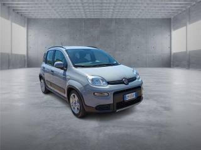 Fiat Panda 3ª Serie  1.0 Firefly S&s Hybrid City Life 